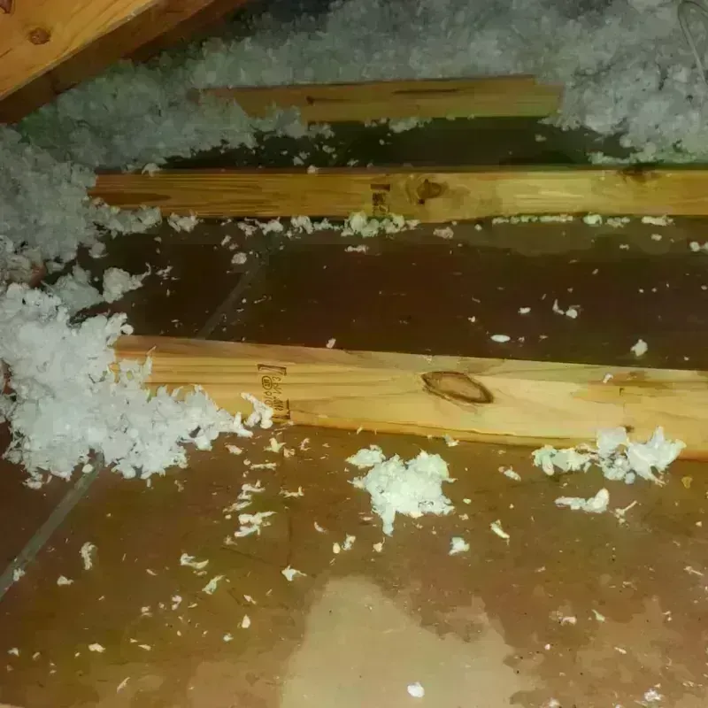 Attic Water Damage in Hazen, ND