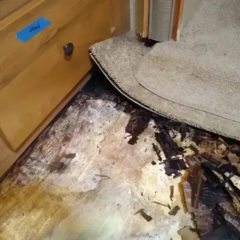 Wood Floor Water Damage in Hazen, ND